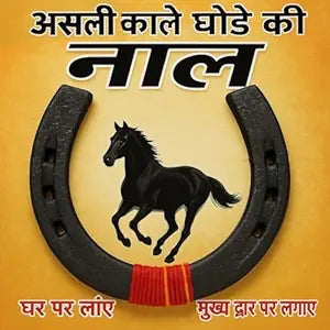 DevotionalClub® Black Metal Horse Shoe (Kale Ghode Ki Naal), Traditional Lucky Charm for Positive Energy & Protection 12 cm x 2 cm x 12 cm